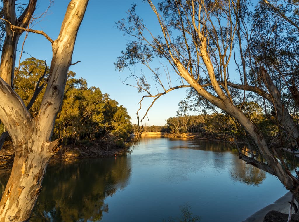 Murray river