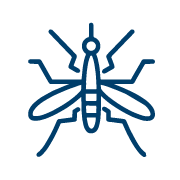 Japanese encephalitis virus